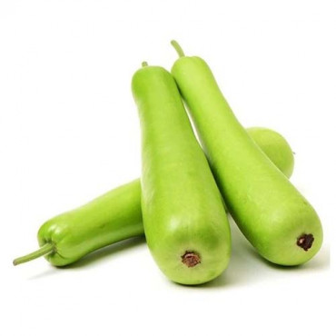 Bottle Gourd (Approx 600g - 900g)