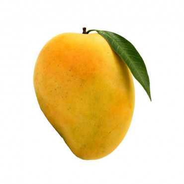 Mango Bangenapalli 1Kg